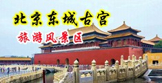 鸡鸡插进逼里啪啪啪中国北京-东城古宫旅游风景区